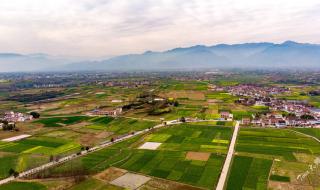 适合晚上看的剧 适合晚上看的剧