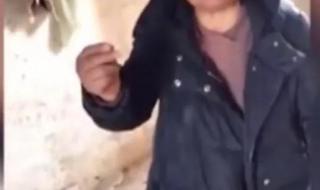 李苏迎秦腔演员简介