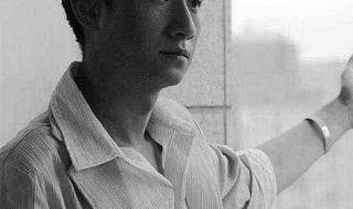 文章电视剧 文章电视剧