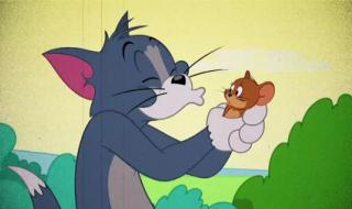 如果有一天我消失了 如果有一天我消失了