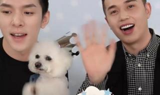 6月3日李佳琦 6月3日李佳琦