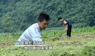 韦仁龙现状 韦仁龙现状