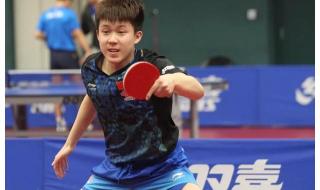 王楚钦个人资料简介