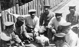 我要看吃鸡 我要看吃鸡