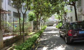 坂雪岗大道 坂雪岗大道