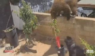 最后一次17岁女生