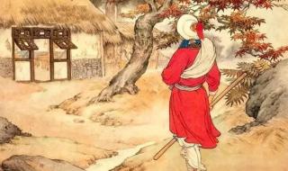 彷徨四顾是什么生肖