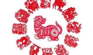 细大不逾是什么生肖 细大不逾是什么生肖