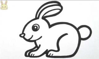 小兔子的画法 小兔子的画法