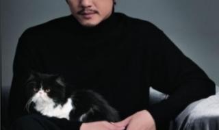 宋丹丹出了什么事 宋丹丹出了什么事