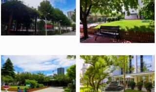 西安高级中学新校区 西安高级中学新校区