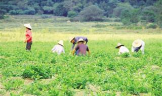 江西省赣州市信丰县 江西省赣州市信丰县