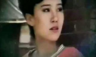 昨夜星辰电视剧 昨夜星辰电视剧