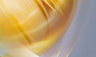 华为鸿蒙系统怎么申请 华为鸿蒙系统怎么申请