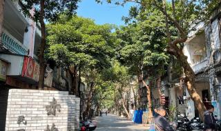 隐秘的角落带火湛江 隐秘的角落带火湛江