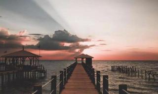 华为高端手机有哪些