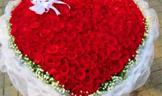 情人节图片玫瑰花 情人节图片玫瑰花