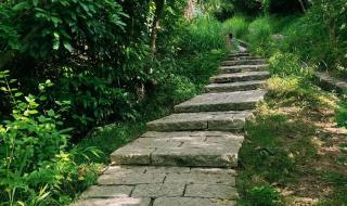 深圳塘朗山郊野公园 深圳塘朗山郊野公园