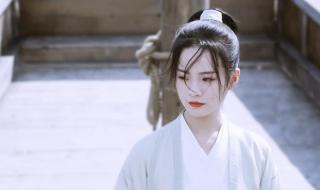 青鸟雪中悍刀行 青鸟雪中悍刀行