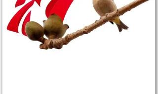 广东电视台南方卫视