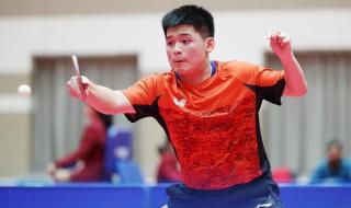 2016年乒乓球男单冠军