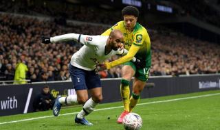 托特纳姆热刺图片